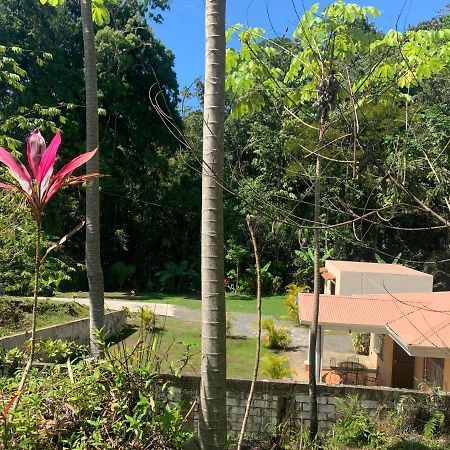 Alma Del Bosque Vacation Home And Apartments 奎波斯城 外观 照片