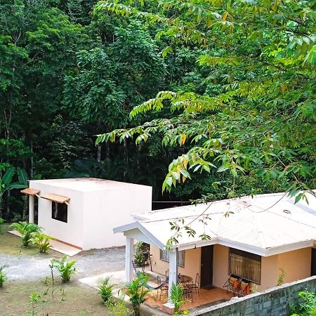 Alma Del Bosque Vacation Home And Apartments 奎波斯城 外观 照片