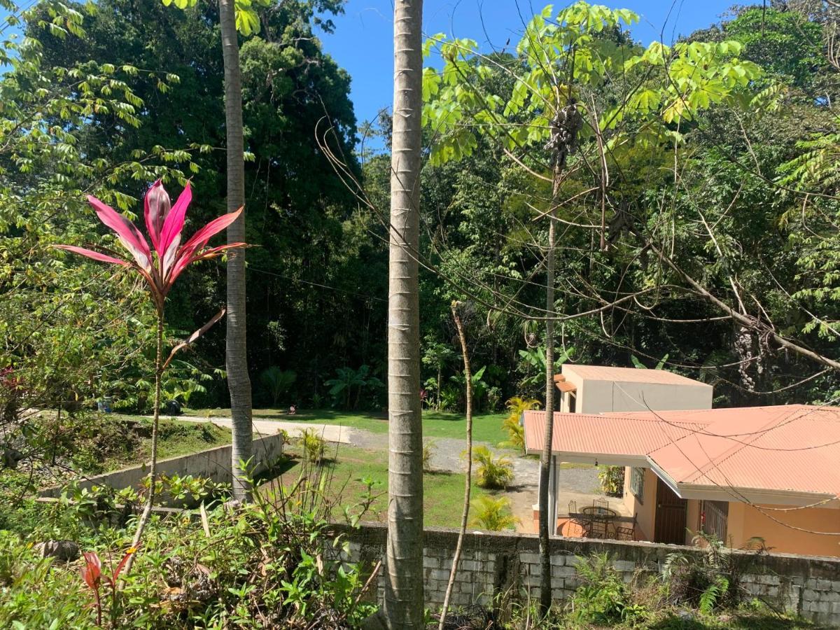 Alma Del Bosque Vacation Home And Apartments 奎波斯城 外观 照片